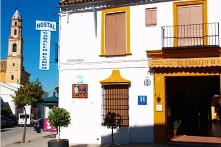 Hostal El Caballo Blanco Osuna Exterior photo